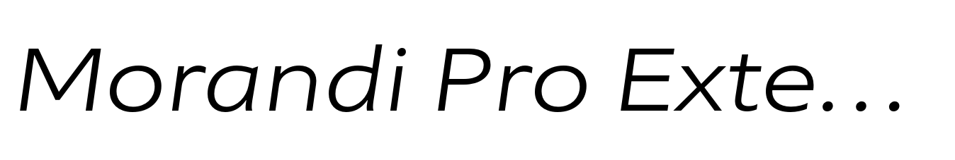 Morandi Pro Extended Light Italic